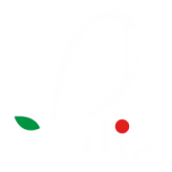 Pulia.com Logo