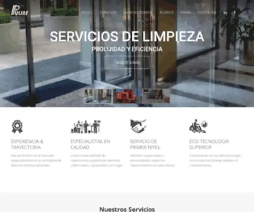 Pulire.com.ar(Servicios de Limpieza) Screenshot