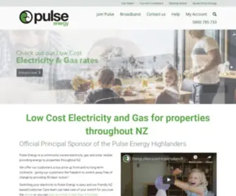 Pulseenergy.co.nz(Pulse Energy) Screenshot
