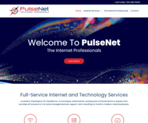 Pulsenet.net(PulseNet Inc) Screenshot
