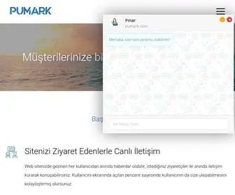 Pumark.com(Pumark) Screenshot