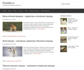 Pumbik.ru(Pumbik) Screenshot