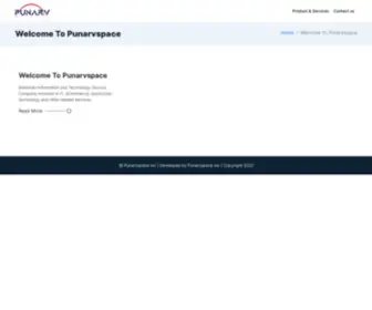 Punarvspace.com(DashNex Pages) Screenshot