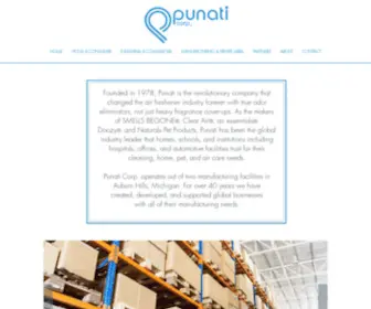 Punati.com(Punati Corp) Screenshot