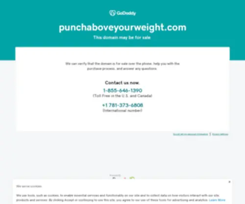 Punchaboveyourweight.com(Online Marketing Workshop) Screenshot