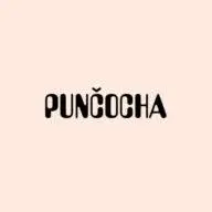 Puncocha.cz Favicon