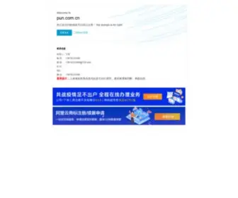 Pun.com.cn(金银岛域名列表) Screenshot