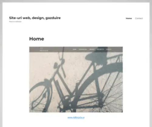 Punctro.com(Punctro website) Screenshot