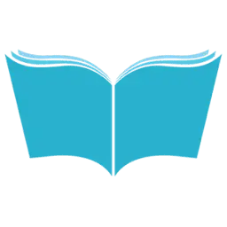Punctulcritic.ro Favicon