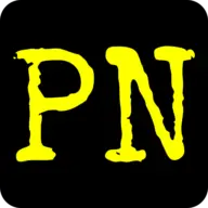 Punenownews.com Logo