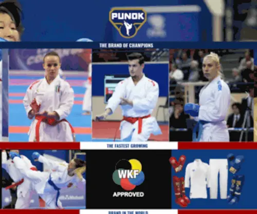 Punok.com(Punok World) Screenshot