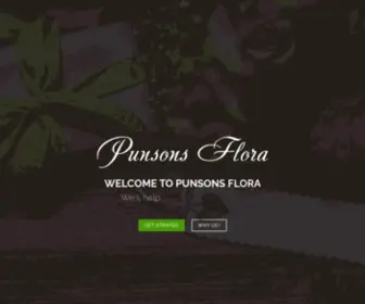 Punsonsflora.com(Punsons Flora) Screenshot