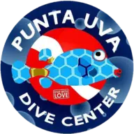 Puntauvadivecenter.com Favicon