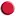 Puntodis.com Favicon