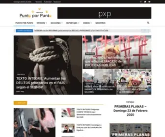 Puntoporpunto.com(Punto por Punto) Screenshot
