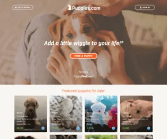 Puppies.com(Find Puppies for Sale at) Screenshot