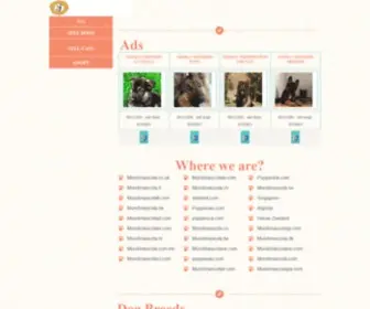 Puppiesau.com(Puppies for sale Australia) Screenshot