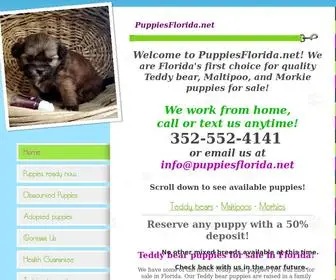 Puppiesflorida.net(Teddy bear) Screenshot