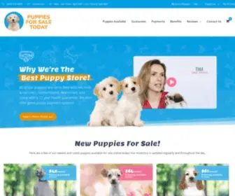 Puppiesforsaletoday.com(Puppies For Sale) Screenshot