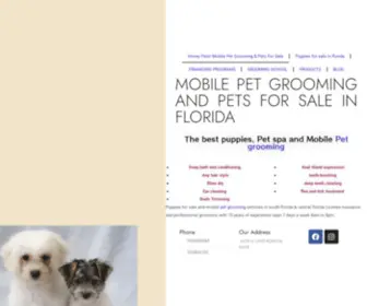 Puppiesinflorida.com(Puppies in Florida) Screenshot