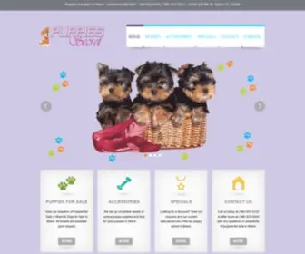 Puppiessecret.com(Puppies For Sale In Miami) Screenshot