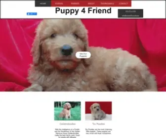 Puppy4Friend.com(Goldendoodles) Screenshot