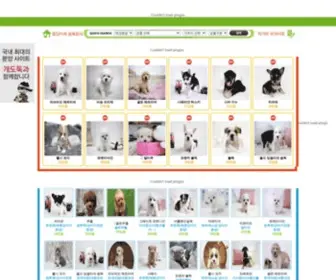 Puppycafe.co.kr(말티즈) Screenshot