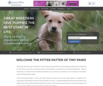 Puppychoices.co.uk(Reputable UK Dog Breeders) Screenshot