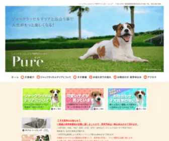 Puppyland-Pure.com(ジャックラッセルテリア) Screenshot