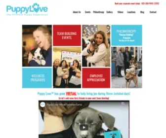 Puppyloveparty.com(Puppyloveparty) Screenshot