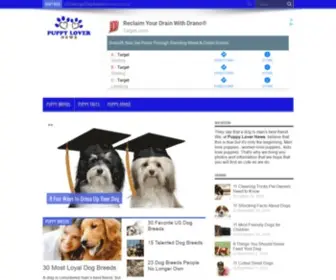 Puppylovernews.com(Puppy Lover News) Screenshot
