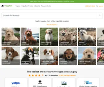 Puppyspot.com(Find the right puppy for your family) Screenshot
