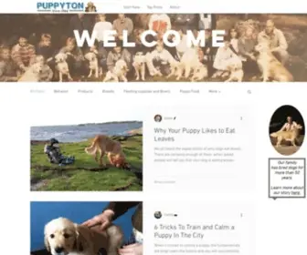 Puppyton.com(The Home For All Puppy Owners) Screenshot