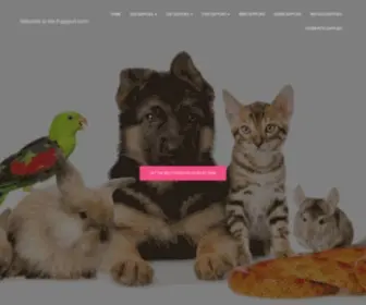 Puppyurl.com(The) Screenshot