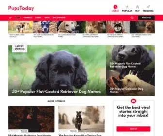 Pupstoday.com(PupsToday) Screenshot