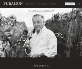 Puramun.com.ar(Vinos de Pepe Galante) Screenshot