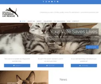Purebredcatrescue.org(Rescue dedicated to finding homes for purebred cats) Screenshot