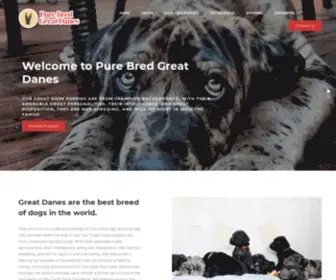 Purebredgreatdanes.com(Pure Bred Great Danes) Screenshot