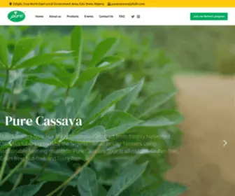 Purecassava.com(My CMS) Screenshot