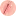 Pureloli.com Favicon