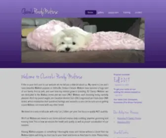 Purelymaltese.com(ClaireLi Purely Maltese) Screenshot