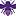 Purplebees.com Favicon