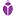 Purplebug.net.nz Logo