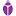 Purplebug.net Logo