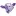 Purplecowcapital.com Favicon