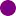 Purplehayes58.com Favicon