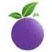 Purpleorange.org.au Logo