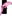 Purpleparrotpublications.com Favicon