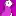 Purplepuffin.co.uk Favicon