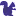 Purplesquirrels.com.au Favicon
